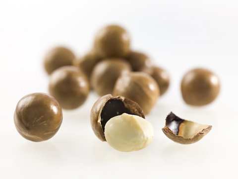 Nutworks - Accommodation VIC 5