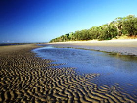 Kinkuna Section - Accommodation VIC 0