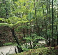 Fraser Island Great Walk - Accommodation VIC