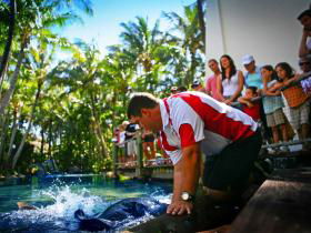 Daydream Island QLD Accommodation VIC