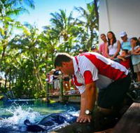 The Living Reef on Daydream Island - Accommodation VIC