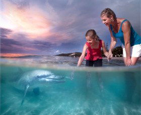 Tangalooma QLD Accommodation VIC