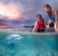 Tangalooma Island Resort - Accommodation VIC