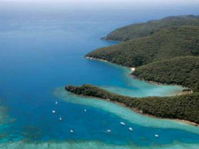 Butterfly Bay - Hook Island - Accommodation VIC 0
