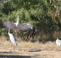 Bulloo River Walk - Accommodation VIC