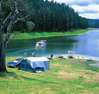 Danbulla National Park and Danbulla State Forest - Accommodation VIC