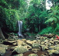 Tamborine National Park - Accommodation VIC