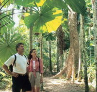 Licuala State Forest - Accommodation VIC
