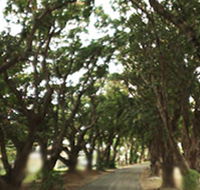 Mango Avenue - Accommodation VIC