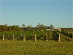 Kingsley Grove Estate - Accommodation VIC 0