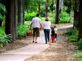 Emerald Botanic Gardens - Accommodation VIC 0