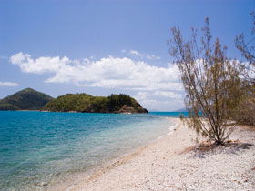 Shute Harbour QLD Accommodation VIC