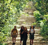 Wet Tropics Great Walk - Accommodation VIC