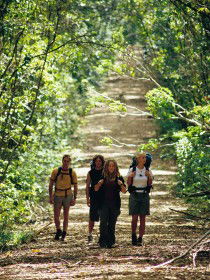 Wet Tropics Great Walk - Accommodation VIC 0