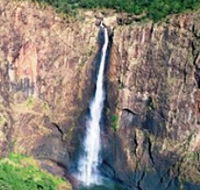 Buujan Quiinbiira Walk Wet Tropics Great Walk - Accommodation VIC