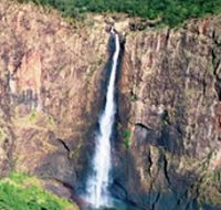 Gugigugi Butterfly Walk Wet Tropics Great Walk - Accommodation VIC