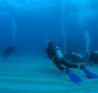 Egg Rock Dive Site - Accommodation VIC
