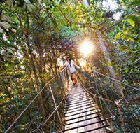 Tree Top Walkway - Accommodation VIC