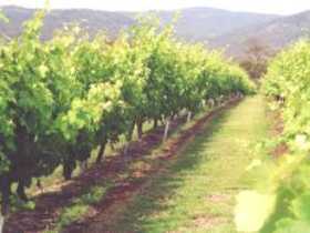 Wyberba QLD Accommodation VIC