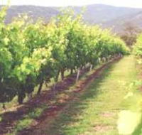Girraween Estate - Accommodation VIC