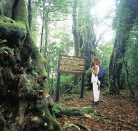 Tooloona Creek circuit - Accommodation VIC