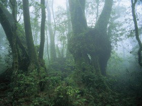 West Canungra Creek Circuit - Accommodation VIC 0