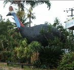 The Big Cassowary - Accommodation VIC