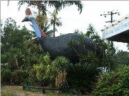 The Big Cassowary - Accommodation VIC 0