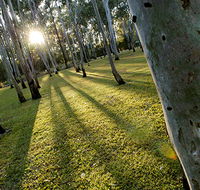 Tondoon Botanic Gardens - Accommodation VIC
