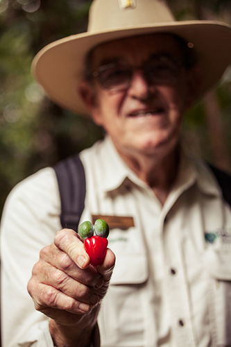 Tondoon Botanic Gardens - Accommodation VIC 1