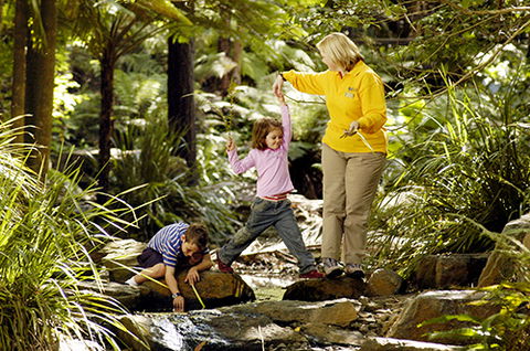 Tondoon Botanic Gardens - Accommodation VIC 2