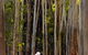 Tondoon Botanic Gardens - thumb 3