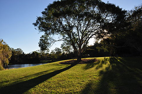 Tondoon Botanic Gardens - Accommodation VIC 4
