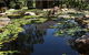 Tondoon Botanic Gardens - thumb 8