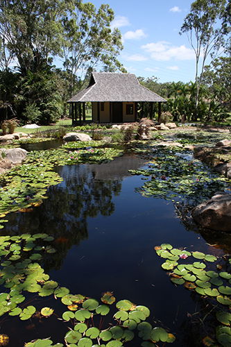 Tondoon Botanic Gardens - Accommodation VIC 8