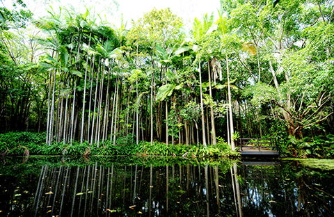Tondoon Botanic Gardens - Accommodation VIC 11