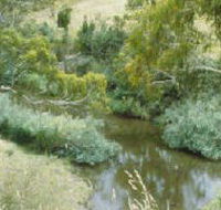 Yarrambat Park - Accommodation VIC
