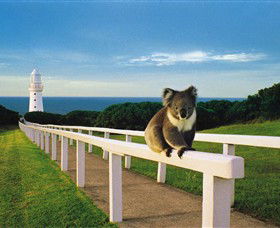Cape Otway Lightstation - Accommodation VIC 0