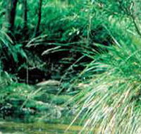 Lerderderg State Park - Accommodation VIC