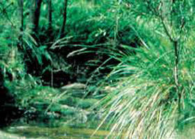 Lerderderg State Park - Accommodation VIC 0