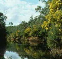 Warrandyte State Park - Accommodation VIC