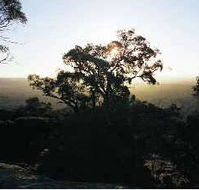 Yarra Flats - Accommodation VIC