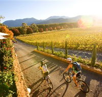 Boyntons Feathertop Winery - Accommodation VIC