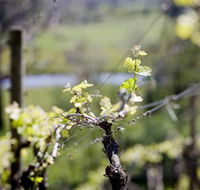 Norton Estate Wines - Accommodation VIC