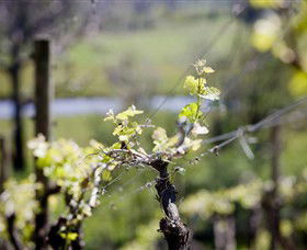 Glenrowan VIC Accommodation VIC