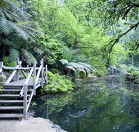 Alfred Nicholas Gardens - Accommodation VIC
