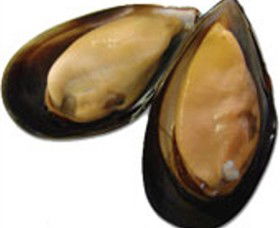 Sea Bounty - Accommodation VIC 0
