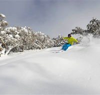 Mt Buller and Mt Stirling Alpine Resort - Accommodation VIC