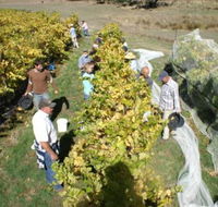 Blakes Estate Winery - Accommodation VIC