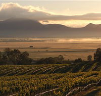 Montara Wines - Accommodation VIC